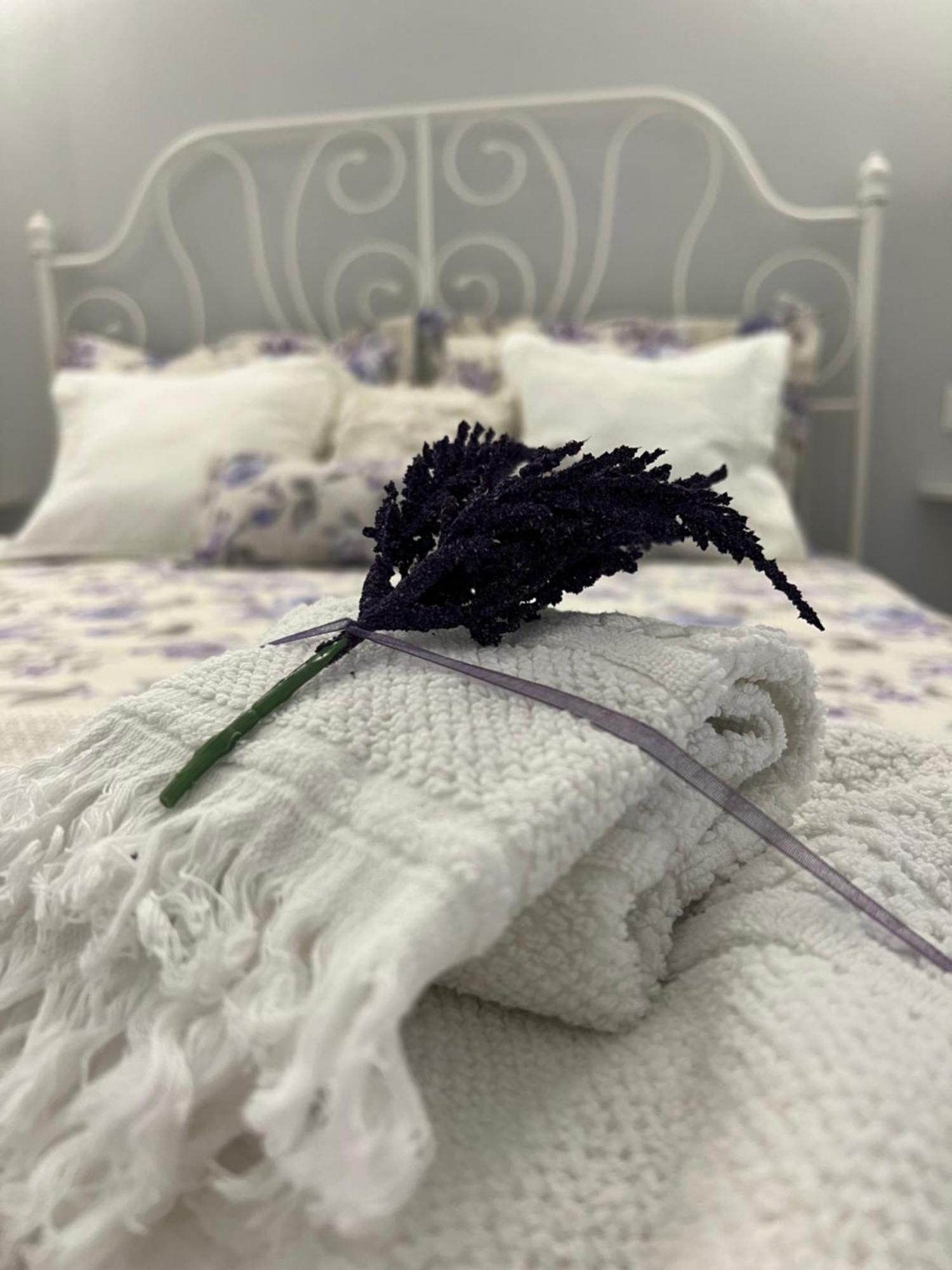 B&B Puglia D'Amare Lizzano  Pokój zdjęcie